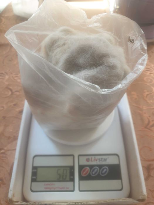 Кошачья шерсть домашних кошек