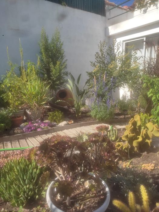 Decoração,limpeza e manutenção jardins, espaços verdes, lagos..