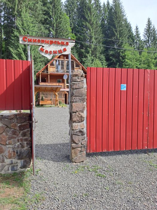 Синевир Карпати відпочинок в Синевирській косиці
