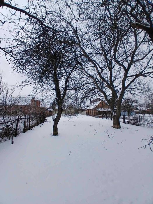 У продажу земельна ділянка по вул. Бучми з виходом на сусідню вулицю.