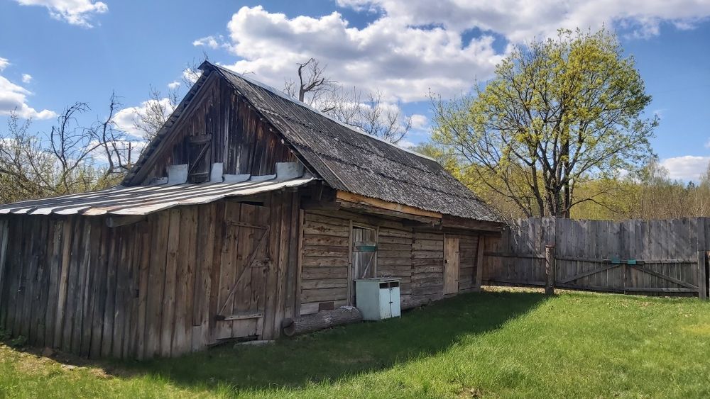 Будинок на хуторі, хвойний ліс, мальовниче місце.