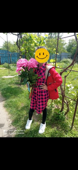 Сукня сорочка  на дівчинку