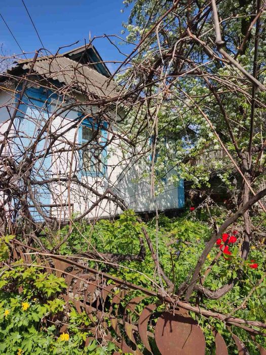 Продаж будинку село Ромашки. Білоцерківський район.