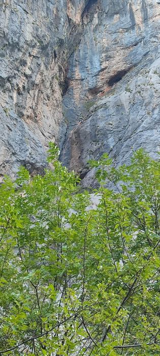 Rower Accent rama 18"