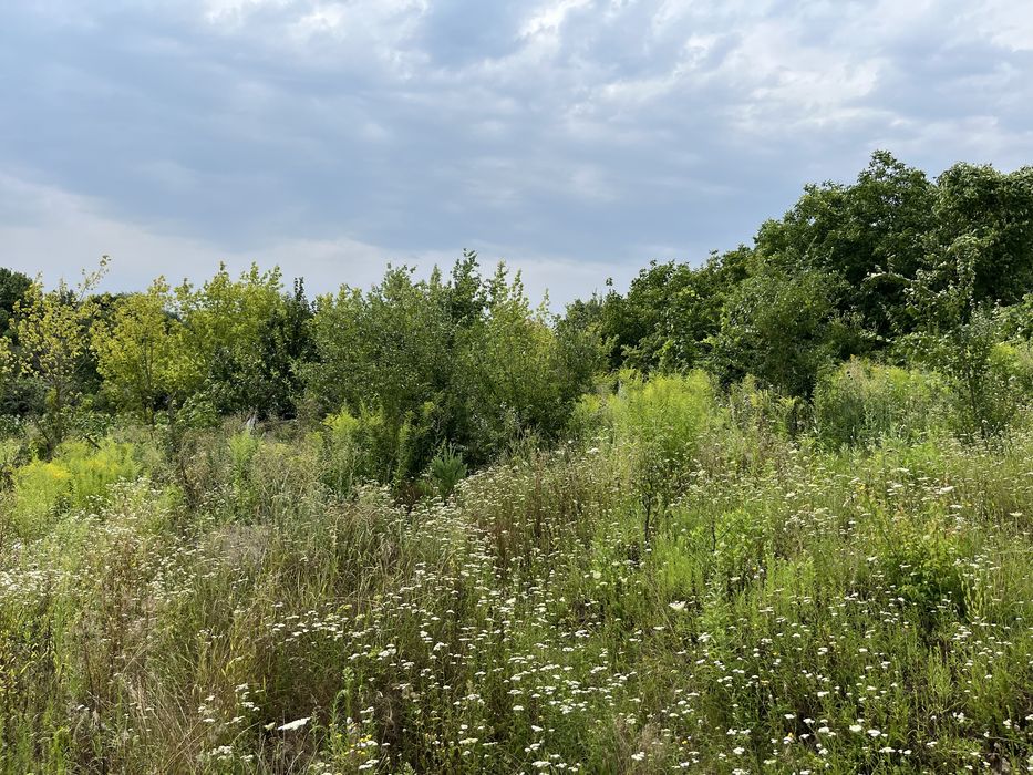 Ділянка з гарним краєвидом в тихій локації