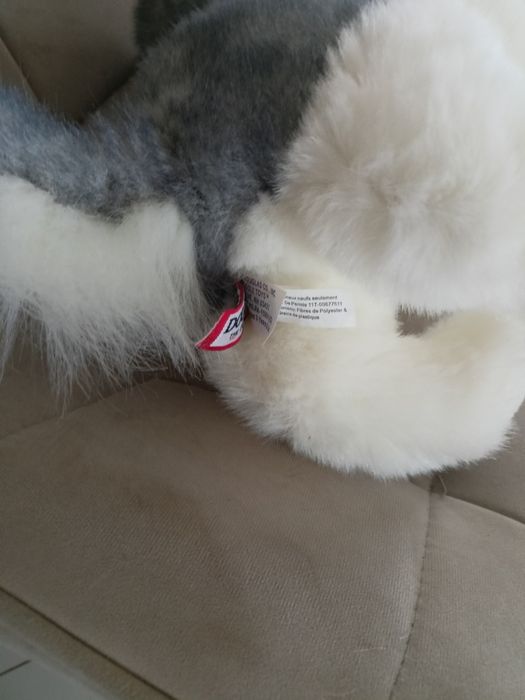 Douglas pluszak Sasha husky wyjątkowy