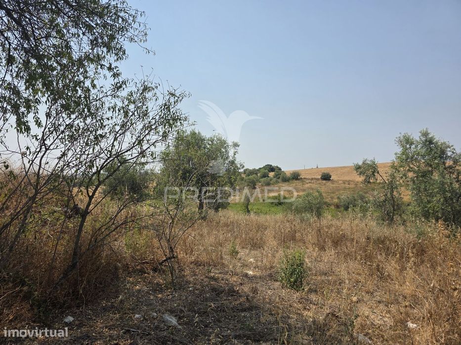 Terreno com Ruína para Reconstrução, Casével – Santarém