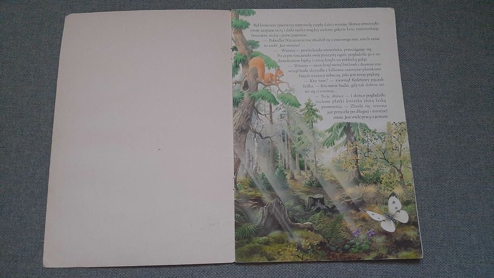 Jak żółw Bursztynek szukał domu piękne ilustracje Andrzej Kłapyta