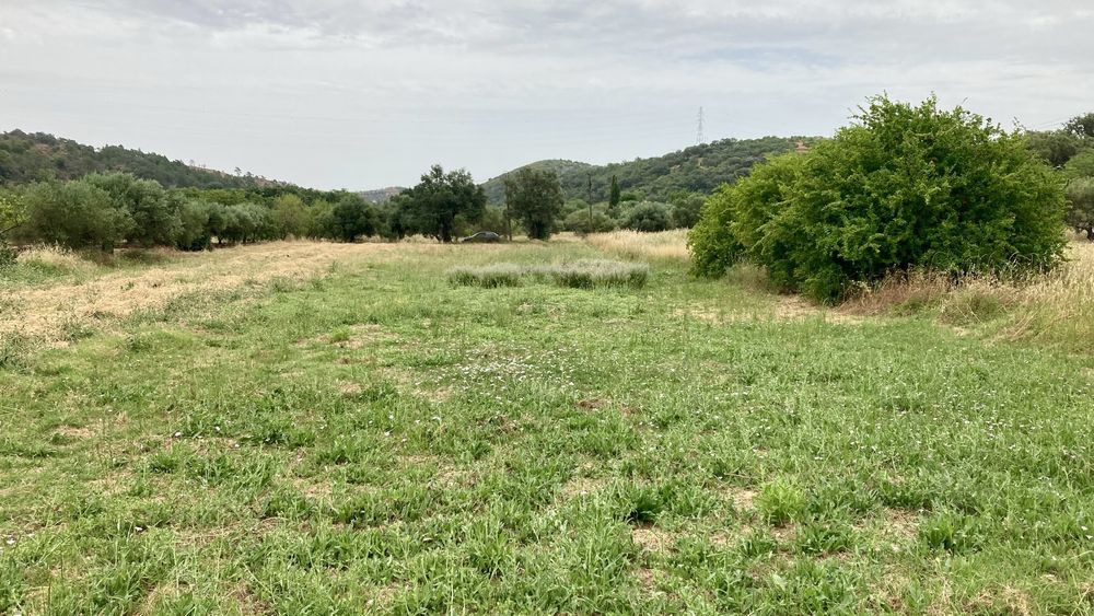 Terreno Rustico em São Brás Alportel