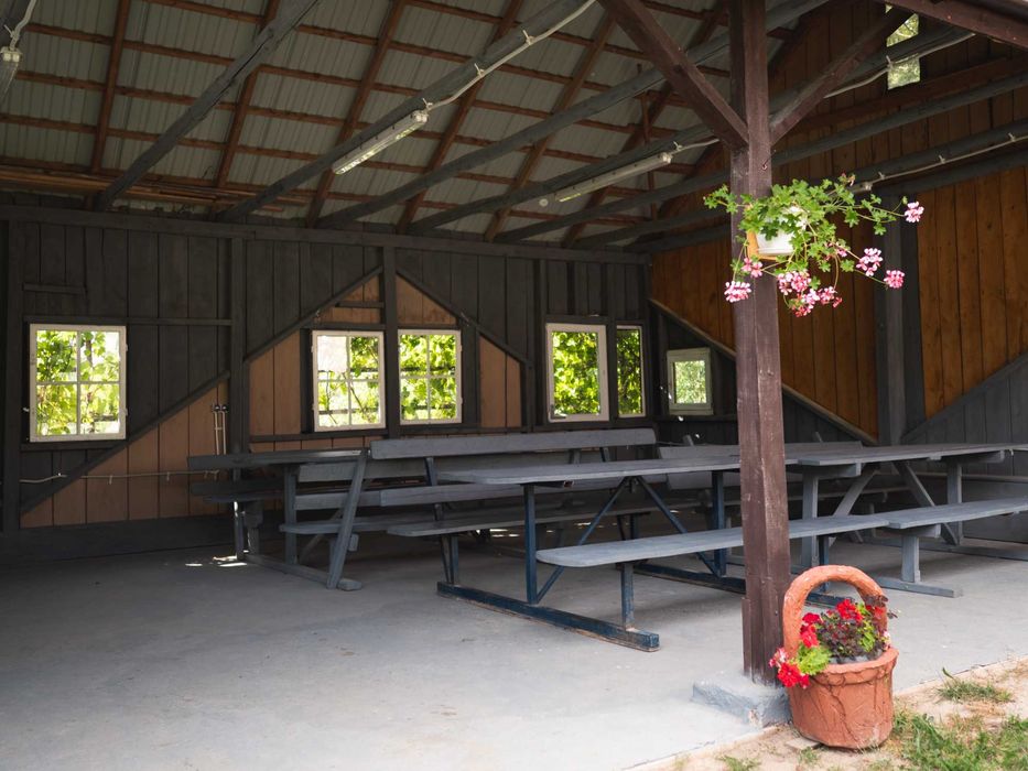Domek nad stawem- Warpuny, mazury