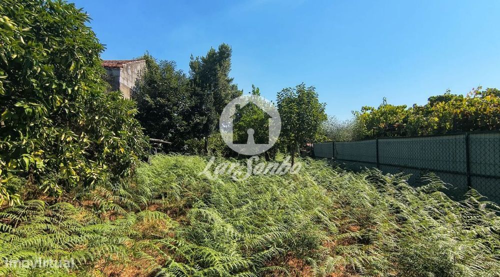 Moradia T3 com Terreno de 890 m² em Aves, Santo Tirso