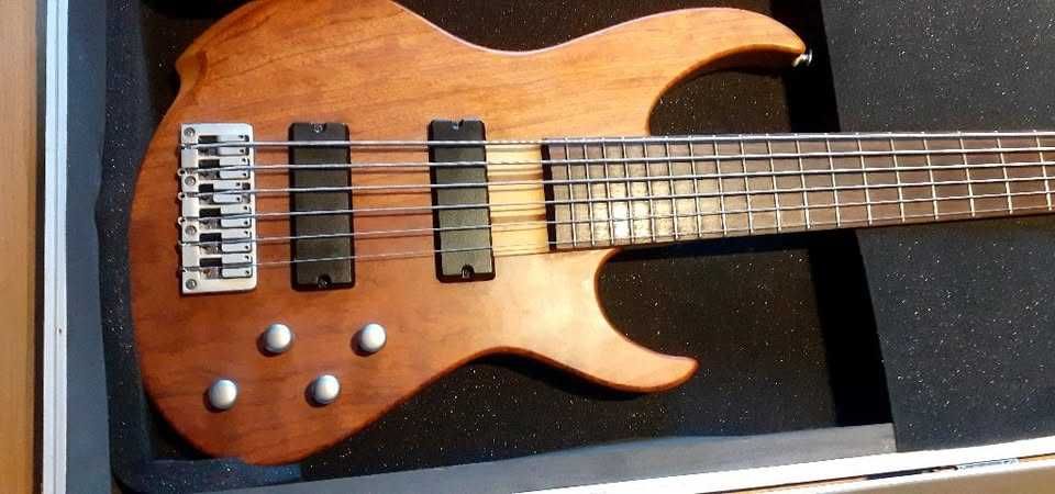 Baixo Brice Bass Defiant 6 Cordas + Case | Excelente Estado - *PREÇO FIXO*