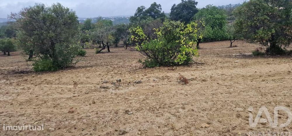 Terreno Agrícola em São Brás de Alportel de 3400,00 m2