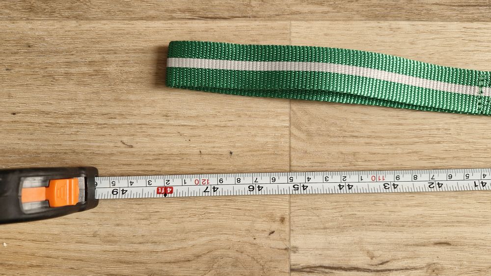 Coleira e Trela Cão