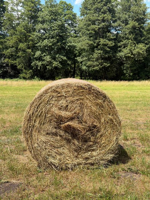 Sprzedam  Siano  tegoroczne