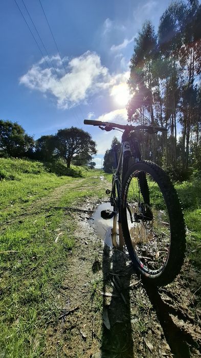 Cannondale flash full carbon