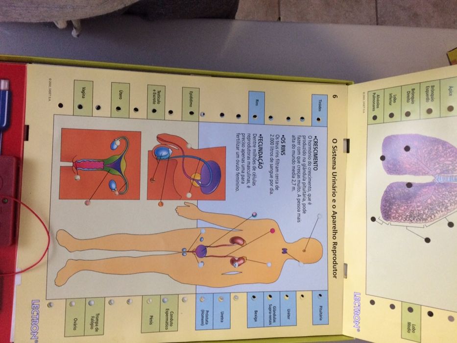 Lectron conhece o teu corpo.