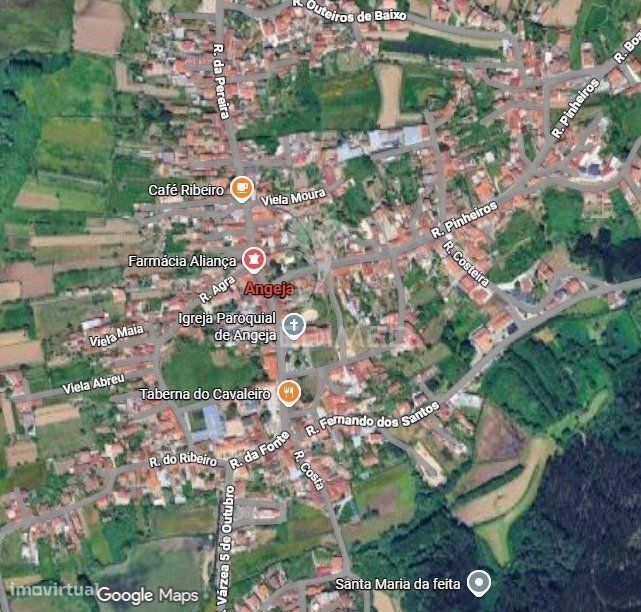 Terreno Rustico em Angeja