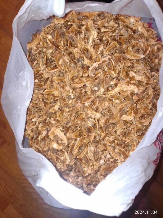 Перетинки волоського горіха нового врожаю