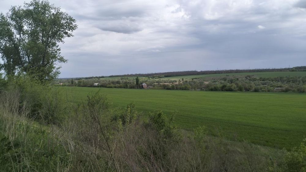 Продам реальний дачний уч-к, Передмістя, Миколаївка(Приват+кадастр)