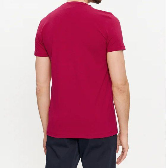 Чоловіча футболка Tommy Hilfiger