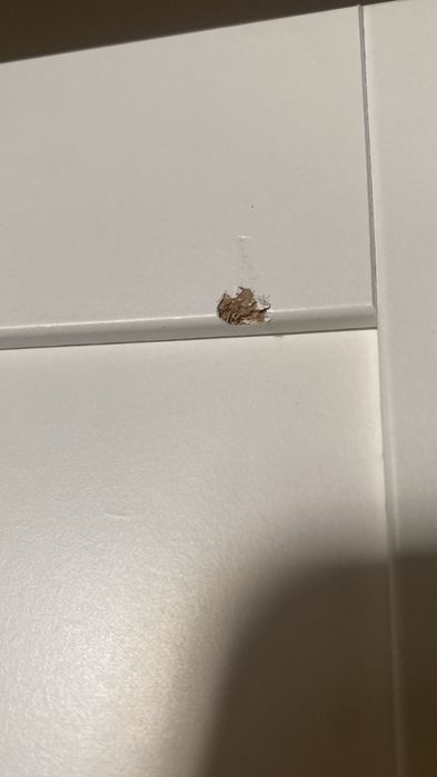 Conjunto de mobília de quarto