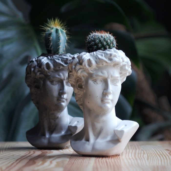 Гіпсова голова Давида, Медичи гипсовая скульптура бюст декор постановк