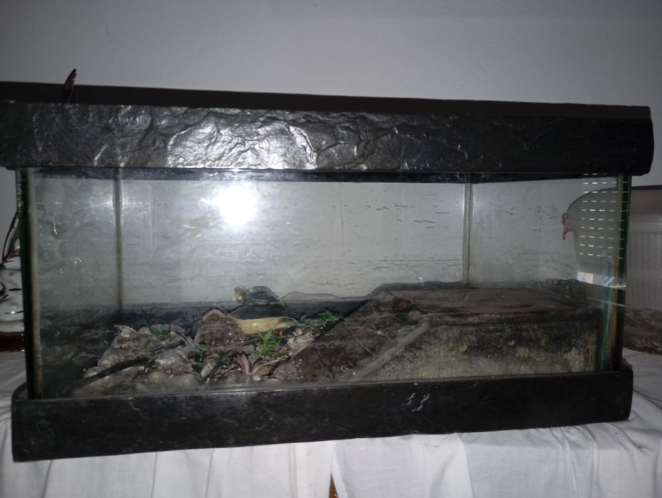 Aquário/ Aquaterrário / tartarugueira em vidro