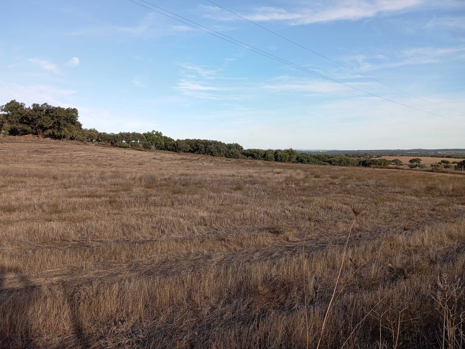 Terreno a 10 km de Estremoz
