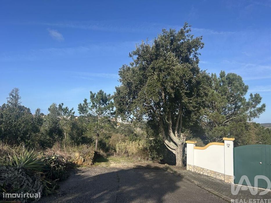 Terreno Agrícola em Mafra