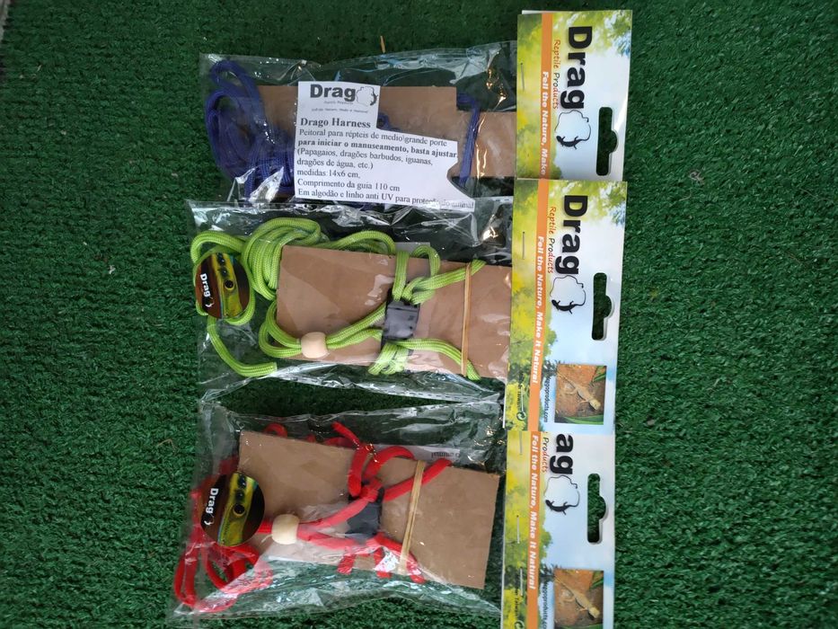 Peitoral e trela lagartos novos