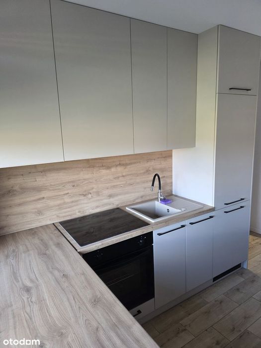 Do wynajęcia 2 pokojowe mieszkanie w apartamentowcu z osobną kuchnią