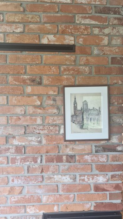 Płytki z cegły rozbiorkowej - czyste lico, równe krawędzie - PROMOCJA!