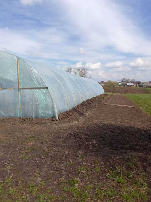 Продається фермерське домогосп. у с.Вільшаниця, є велика теплиця 300м2