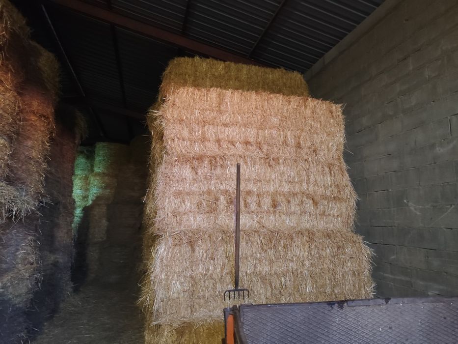 Fardos de palha e rolos de feno