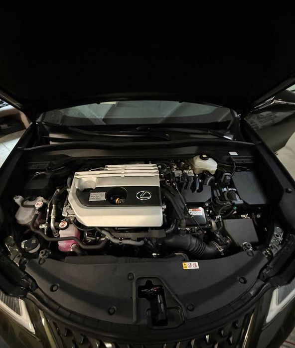 Lexus UX 250 h Prestige Hybryda