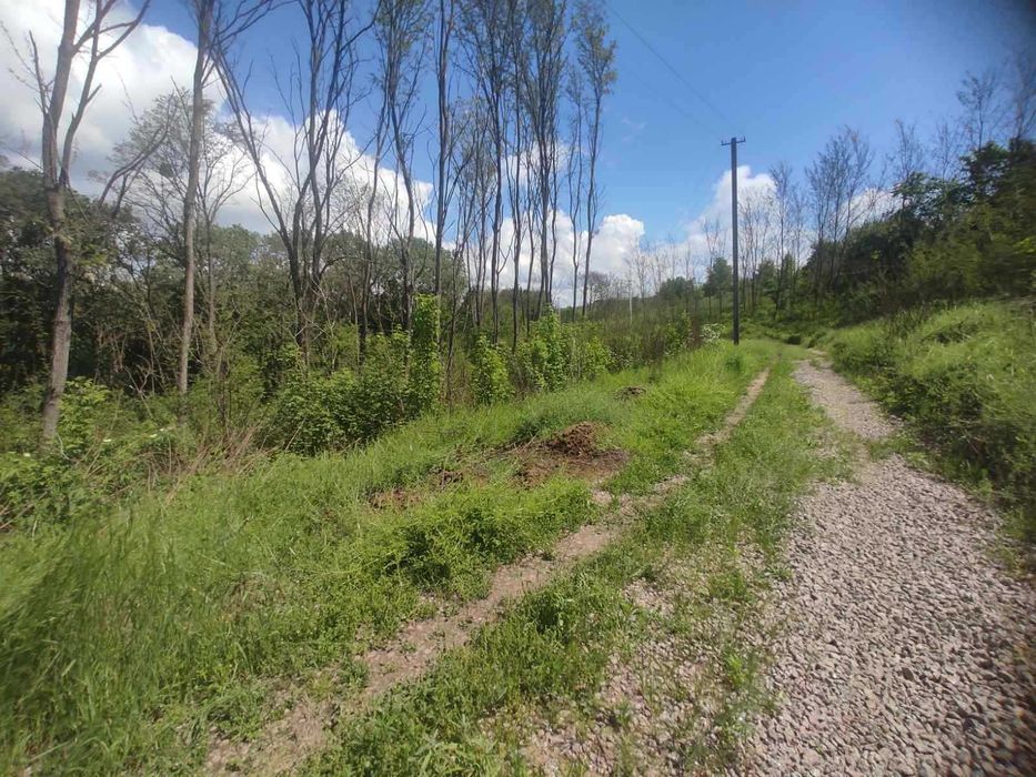 Земельна ділянка під базу відпочинку та інше.1Га біля лісу!Обухівський