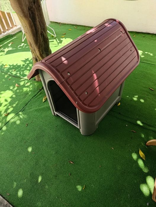 Casota cão pequeno/médio