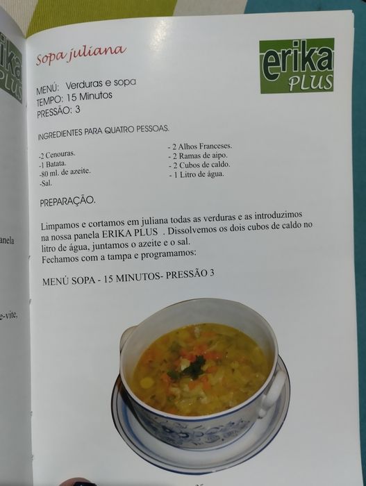 Panela Programável Erika Plus