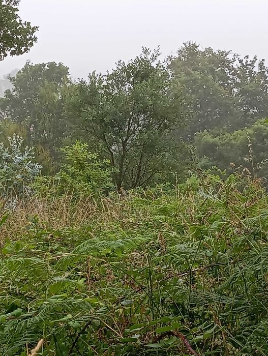 Terreno Urbano 1536M para construção