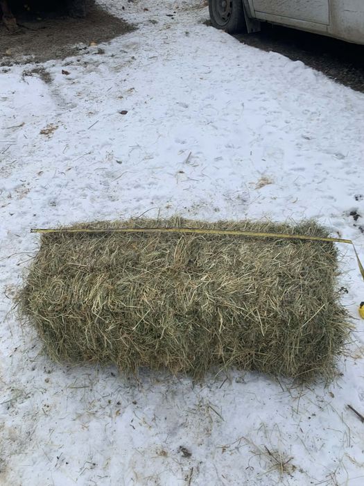 Сіно лугове/ тюк  / трава/ отава/різнотрав‘я