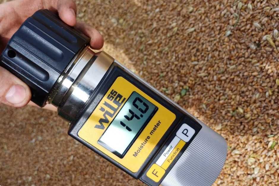 Miernik Tester wilgotności zboża WILE 55 / Wilgotnościomierz WILE