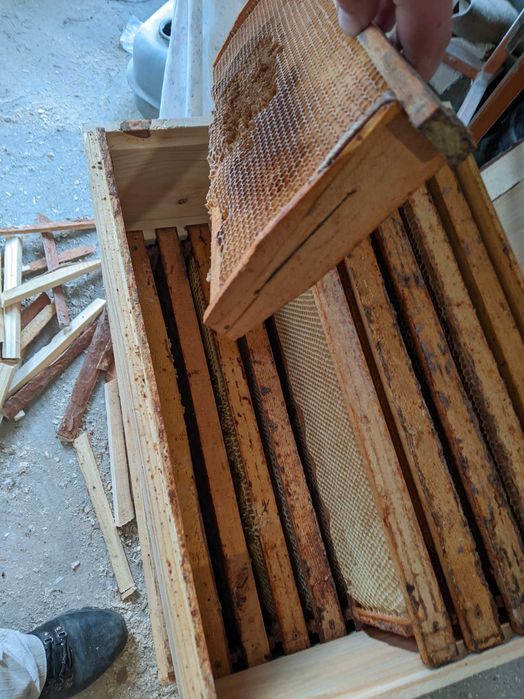 Суш дадан 300мм, магазинка 145мм