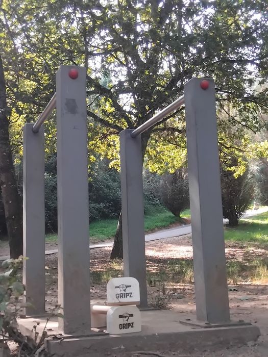 Parallettes/Paralelas GripZ Raw