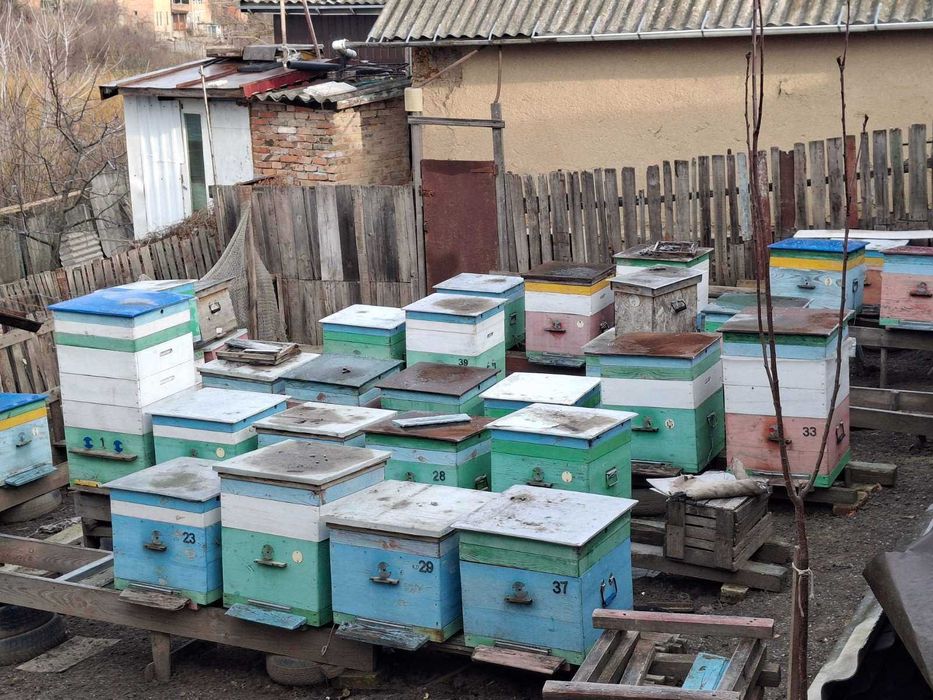 Продам вулики Дадан