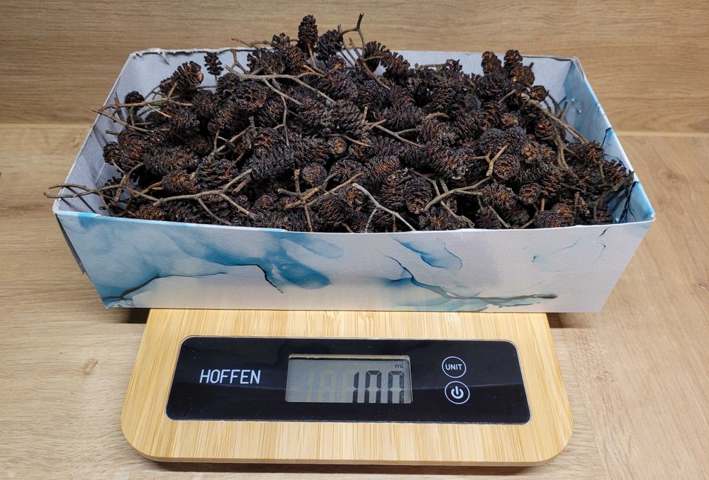 olcha szyszki antyglon do akwarium 100 g - suszone liście dla krewetek