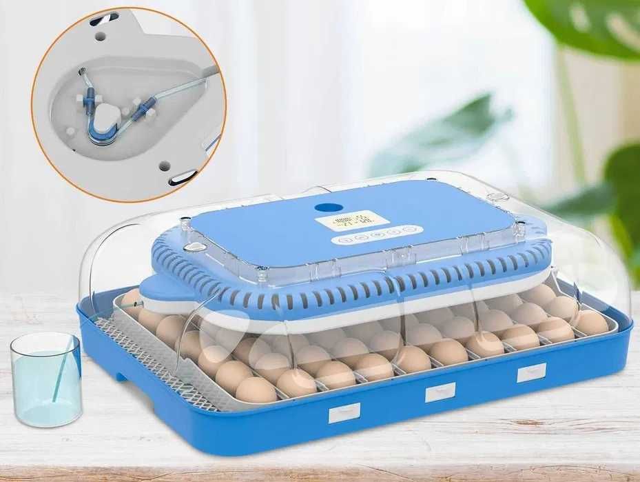 Inkubator do jaj automatyczny z pompą wilgotności OVOstart 70