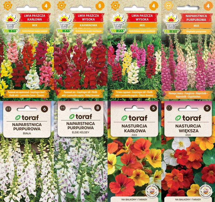 Kocanka, Lwia paszcza, Naparstnica nasiona zestaw 8 odmian za 18,64 zł