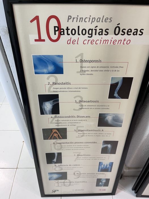 Quadros animais/veterinario