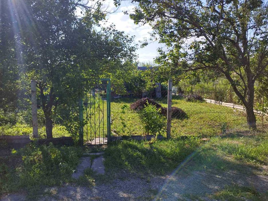 Продам дачу в с/т Восход рядом с Кристальным в Новоалександровке